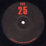 Pounding Grooves - Pounding Grooves 25 (10