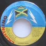 Stepping King Miguel & Sugar Minott - Coconut Park Rock (7