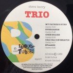 Steve Berry - Trio (LP)