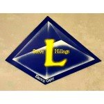 Steve Hillage - L (LP, Album)