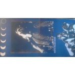 Steve Miller Band - Recall The Beginning...A Journey From Eden (LP, Album, Gat)