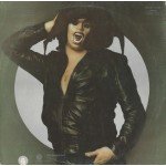 Steve Miller Band - The Joker (LP, Album, RE, Gat)
