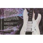Steve Vai - Passion And Warfare (LP, Album)