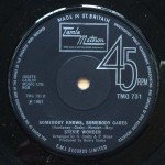 Stevie Wonder - Never Had A Dream Come True (7