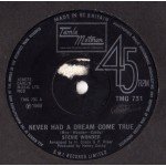 Stevie Wonder - Never Had A Dream Come True (7