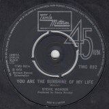 Stevie Wonder - You Are The Sunshine Of My Life (7