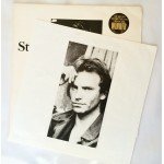 Sting - ...Nothing Like The Sun (2xLP, Album)