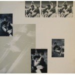 Sting - The Dream Of The Blue Turtles (LP, Album)