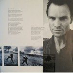 Sting - The Dream Of The Blue Turtles (LP, Album)