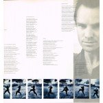 Sting - The Dream Of The Blue Turtles (LP, Album)