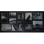 Pink Floyd - Animals (LP, Album, Gat)