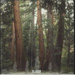 DJDS* - Stand Up And Speak (LP, Album)