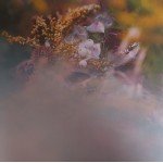 bEEdEEgEE - SUM/ONE (LP, Album)