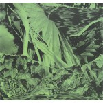 Great Ytene - Locus (LP, Album)