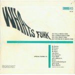 Perry Haines - Whats Funk (7