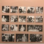 Flat Foot Stompers & Friends* - Volume 2 (LP)