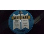 The Springsteen Brothers - She's Fine (12