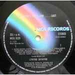 Lynyrd Skynyrd - Skynyrd's First And... Last (LP, Album, Gat)
