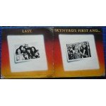 Lynyrd Skynyrd - Skynyrd's First And... Last (LP, Album, Gat)