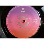 The Casualeers - Dance, Dance, Dance (7