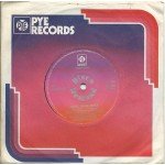 The Casualeers - Dance, Dance, Dance (7