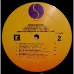 Brian Wilson - Brian Wilson (LP, Album, All)