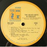 The Beach Boys - In Concert (2xLP, Album)
