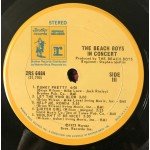 The Beach Boys - In Concert (2xLP, Album)