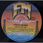 Steve Gaines - One In The Sun (LP, Album)