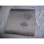 Genesis - Wind & Wuthering (LP, Album, Tex)