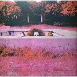 Frank Zappa - Hot Rats (LP, Album, RE, Gat)