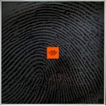 Billy Pierce Quartet - William The Conqueror (LP, Album)