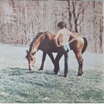 Arlo Guthrie - Washington County (LP, Album, Win)