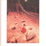 Blue Öyster Cult - Cultösaurus Erectus (LP, Album)