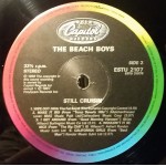 The Beach Boys - Still Cruisin' (LP, Album)