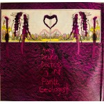 Animal Collective - Feels (2xLP, Album, RE, Gat)