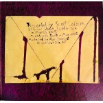 Animal Collective - Feels (2xLP, Album, RE, Gat)