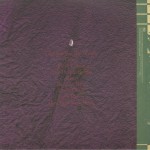 Animal Collective - Feels (2xLP, Album, RE, Gat)
