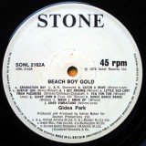 Gidea Park - Beach Boy Gold / Lady Be Good (12