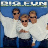 Big Fun - Can't Shake The Feeling (7
