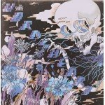 The Shins - The Worms Heart (LP, Album)