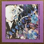 The Shins - The Worms Heart (LP, Album)