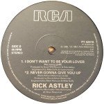 Rick Astley - Hold Me In Your Arms (12