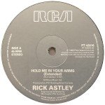 Rick Astley - Hold Me In Your Arms (12