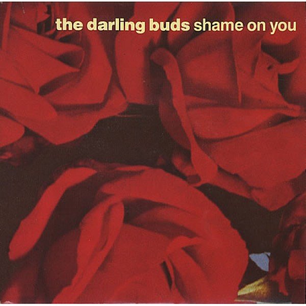 The Darling Buds - Shame On You (12