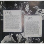 Donovan - The Donovan File (2xLP, Comp)