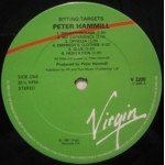 Peter Hammill - Sitting Targets (LP, Album)