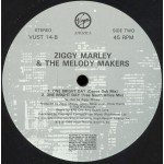 Ziggy Marley And The Melody Makers - One Bright Day (12