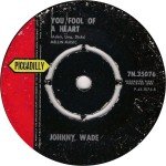 Johnny Wade - Andiamo / You Fool Of A Heart (7