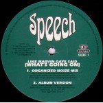 Speech - Like Marvin Gaye Said (What's Going On) (12